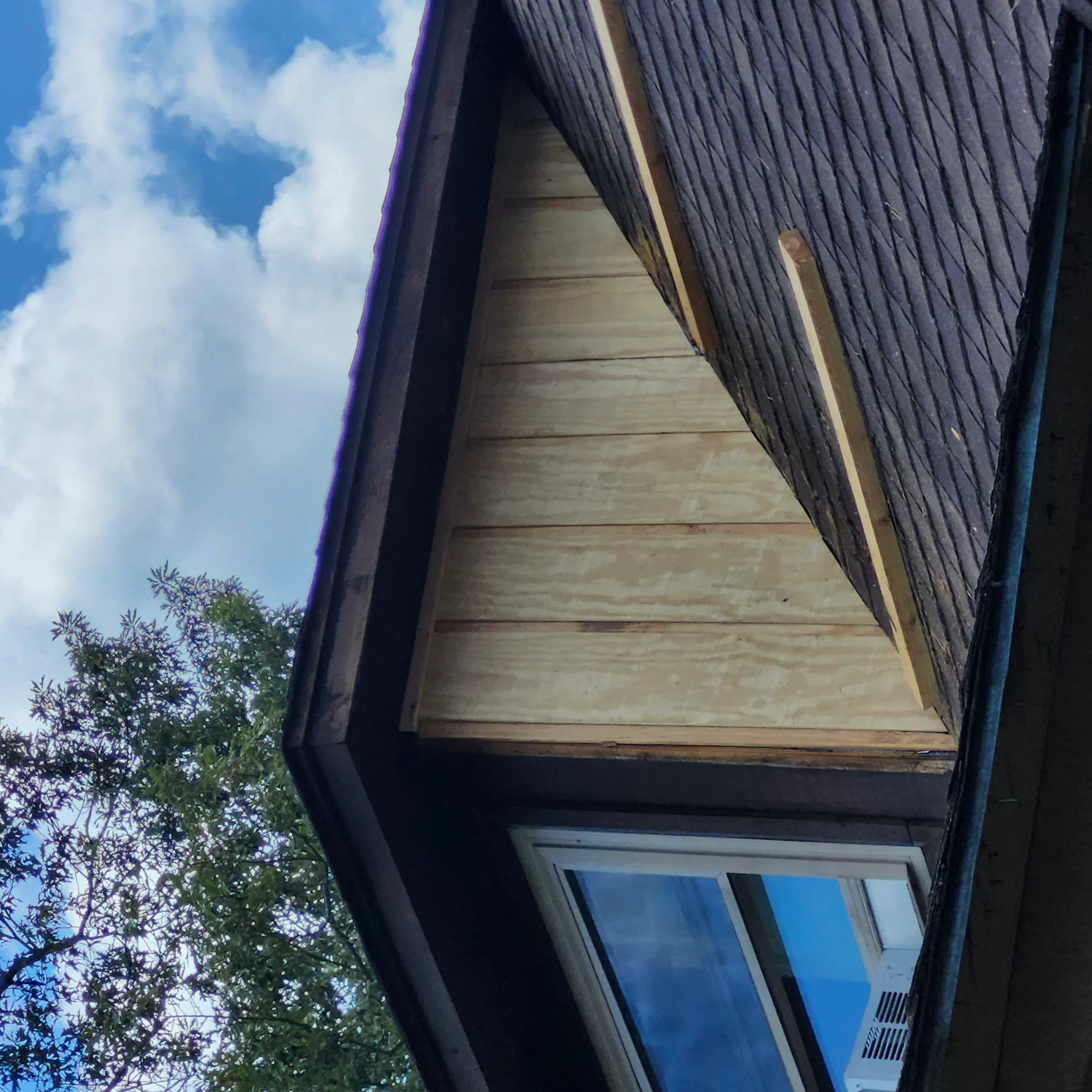 Dark shingle roof with new soffit and fascia boards on pitched roof section