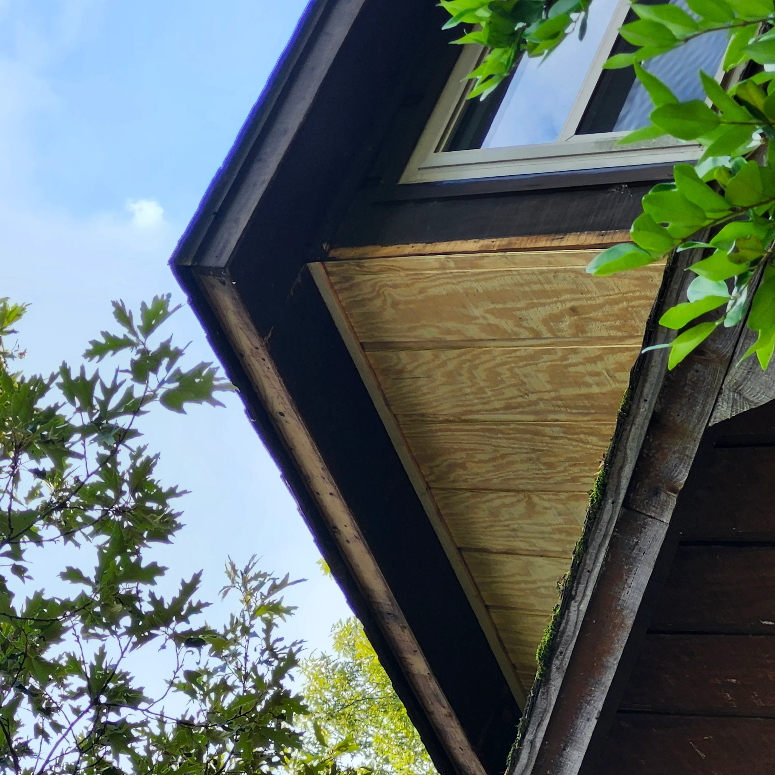 Wooden soffit and fascia with fresh stain, painted trim around window frame and gutters